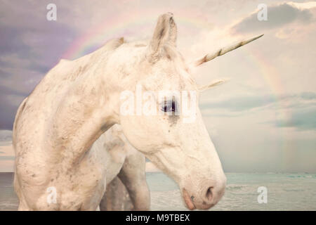 Fotorealistische Einhorn zu Fuß durch den Ozean mit Regenbogen Himmel Stockfoto