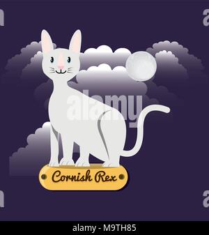 Katze Cornish Rex unter dem Licht des Mondes Vector Illustration Design Stock Vektor