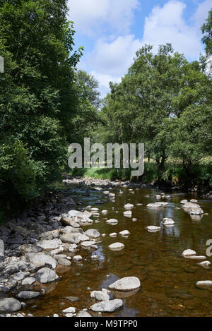 Einer der vielen kleinen Bächen, die gehen durch die Glen und in den Fluss South Esk am Glen Clova in Angus, Schottland. Stockfoto