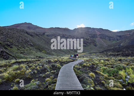 Blick entlang der Spur des Tongariro Alpine Crossing, Neuseeland Stockfoto