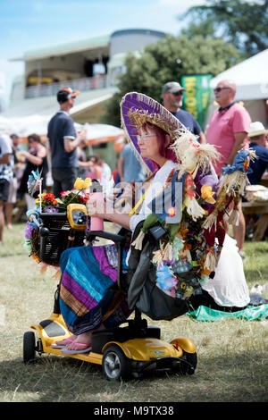 Die Cornbury Music Festival 2017 - Sonja Johannesen aus Wiltshire, ist ein freiwilliger Steward auf dem Festival Stockfoto