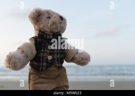 Teddybär stehend am Strand Stockfoto