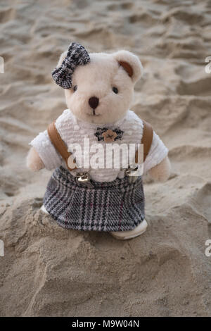 Teddybär stehend am Strand Stockfoto