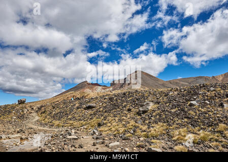 Blick entlang der Spur des Tongariro Alpine Crossing, Neuseeland Stockfoto