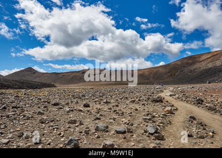 Blick entlang der Spur des Tongariro Alpine Crossing, Neuseeland Stockfoto