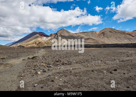 Blick entlang der Spur des Tongariro Alpine Crossing, Neuseeland Stockfoto