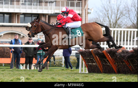 Junge Lou geritten von Tabitha Worsley auf Ihrem Weg zum Sieg in den Folgen 188 Wetten auf Twitter Handicap Hürde an der Warwick Racecourse. Stockfoto