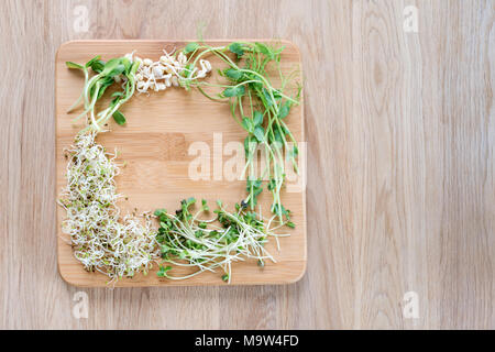 Verschiedene Arten von Micro Grüns auf Holz- Hintergrund. Frisch Garten produzieren biologisch angebaut, Symbol der Gesundheit und Vitamine. Microgreens bereit für das Kochen. Copyspace für Text Stockfoto