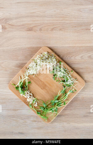 Verschiedene Arten von Micro Grüns auf Holz- Hintergrund. Frisch Garten produzieren biologisch angebaut, Symbol der Gesundheit und Vitamine. Microgreens bereit für das Kochen. Copyspace für Text Stockfoto