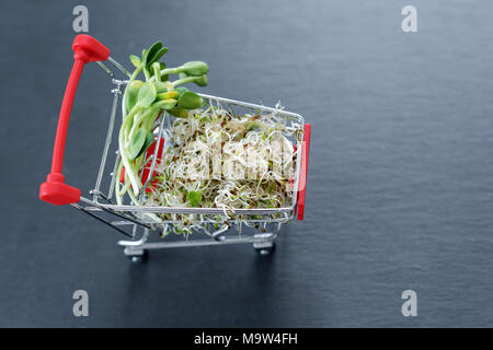 Micro Grüns in Warenkorb auf dunklem Hintergrund. Verschiedene Arten von microgreens zum Verkauf. Gesunde Ernährung Konzept der frischen Garten produzieren biologisch angebaut, Symbol der Gesundheit. Vitamine aus der Natur. Stockfoto