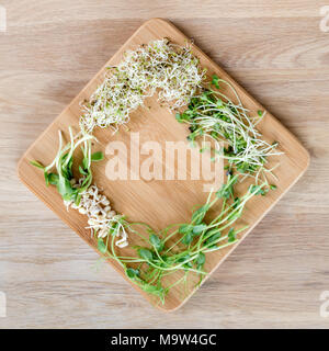 Verschiedene Arten von Micro Grüns auf Holz- Hintergrund. Frisch Garten produzieren biologisch angebaut, Symbol der Gesundheit und Vitamine. Microgreens bereit für das Kochen. Copyspace für Text Stockfoto