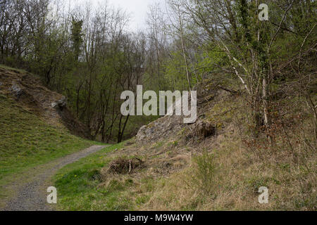 Kalkstein Weg von Dudley, Birmingham, England, Vereinigtes Königreich. Der Kalkstein von Dudley Sedgley ist eine Route durch vier Kalkstein Hügel: Castle Hill, Wren's Nest, Hurst Hill und Sedgley Beacon. Bergbau und Gewinnung von Steinen und Felsen vollzog sich über Jahrhunderte. Die Herkunft der Steine liegt über 400 Millionen Jahren im Silur, Schaffung eines Raums der geologische Bedeutung. Die Dudley, und viel von der Midlands, war zu diesem Zeitpunkt durch einen flachen, tropischen Meer bedeckt. Nach und nach die Schalen von Meerestieren auf der Kalk reichen Schlamm des Meeresbodens abgerechnet. In der Zeit dieser Schlamm wurde Kalkstein Stockfoto