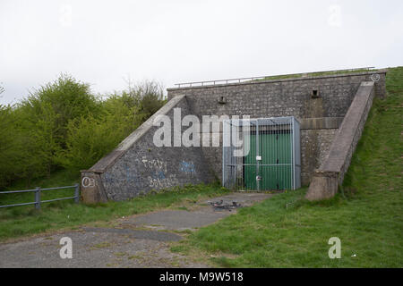 Kalkstein Weg von Dudley, Birmingham, England, Vereinigtes Königreich. Der Kalkstein von Dudley Sedgley ist eine Route durch vier Kalkstein Hügel: Castle Hill, Wren's Nest, Hurst Hill und Sedgley Beacon. Bergbau und Gewinnung von Steinen und Felsen vollzog sich über Jahrhunderte. Die Herkunft der Steine liegt über 400 Millionen Jahren im Silur, Schaffung eines Raums der geologische Bedeutung. Die Dudley, und viel von der Midlands, war zu diesem Zeitpunkt durch einen flachen, tropischen Meer bedeckt. Nach und nach die Schalen von Meerestieren auf der Kalk reichen Schlamm des Meeresbodens abgerechnet. In der Zeit dieser Schlamm wurde Kalkstein Stockfoto