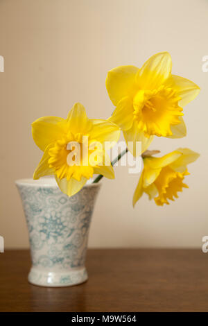 Drei narzisse Stiele in kleinen blauen Vase Schuß in natürlichem Licht. Stockfoto