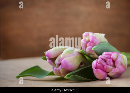 Drei rosa Tulpen durch Tageslicht Fenster Licht auf einen Holzrahmen mit einem dunklen Hintergrund. Stockfoto