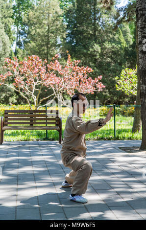 Ein Chinese, der ein traditionelles Kostüm der Kampfkunst trägt, übt Tai Chi im Tiantan-Park, in der Nähe des Himmelstempels, Peking, China Stockfoto