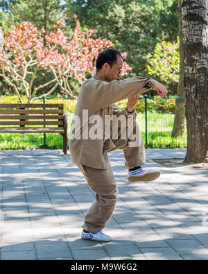 Ein Chinese, der ein traditionelles Kostüm der Kampfkunst trägt, übt Tai Chi im Tiantan-Park, in der Nähe des Himmelstempels, Peking, China Stockfoto