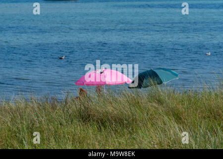 Sommer an der Kieler Förde. Die Menschen Spaß haben, Sonnenbaden am Strand Falckenstein, Kiel, Schleswig-Holstein, Deutschland, Europa Stockfoto