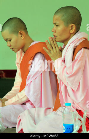 Myanmar, Yangon Shwedagon Pagode, buddhistische Nonnen, beten, Stockfoto