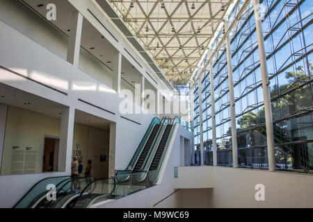 MALBA, Museo de Arte Latinoamericano de Buenos Aires, modernes Latein Kunst Museum, Buenos Aires, Argentinien Stockfoto