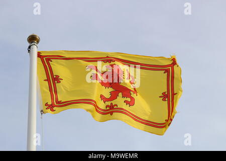 Das königliche Banner der königlichen Wappen von Schottland, oder das königliche Banner von Schottland, oder Royal Standard von Schottland, oder einfach nur die Löwen von Schottland. Stockfoto