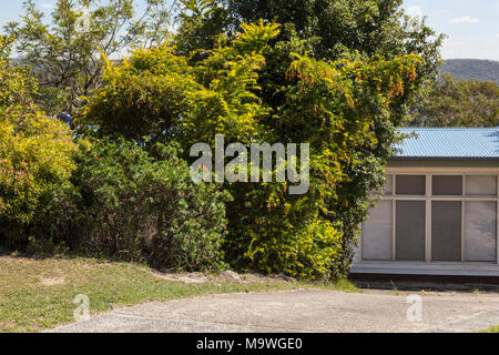 Suburban Wasserfall, einem Vorort am Stadtrand von Sydney, New South Wales, Australien Stockfoto