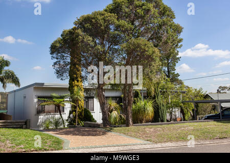 Suburban Wasserfall, einem Vorort am Stadtrand von Sydney, New South Wales, Australien Stockfoto