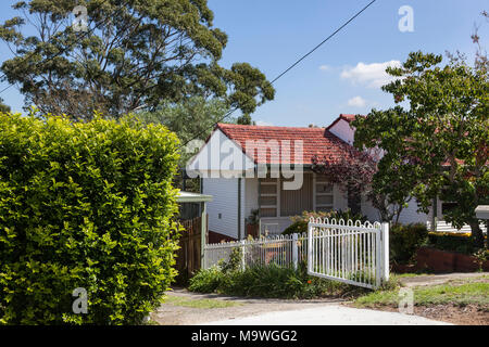 Suburban Wasserfall, einem Vorort am Stadtrand von Sydney, New South Wales, Australien Stockfoto