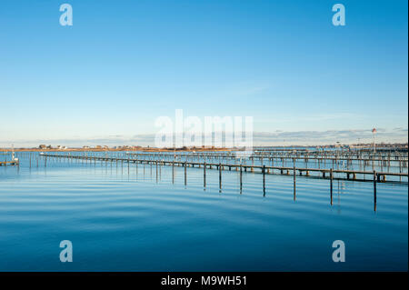 Wharf für Yachten in der Marina Heiligenhafen, Ostsee, Schleswig-Holstein, Deutschland, Europa Stockfoto