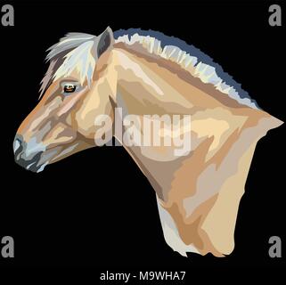 Farbige Porträt des Norwegischen Fjord Pony. Pferd Kopf mit langer Mähne im Profil isoliert Vector Illustration auf schwarzem Hintergrund Stock Vektor