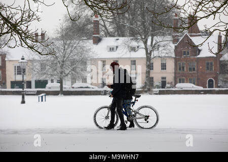 Im späten Winter Schnee decken die Stadt Salisbury, der nur die Domstadt in die Landschaft von England, der Grafschaft Wiltshire, Vereinigtes Königreich Stockfoto