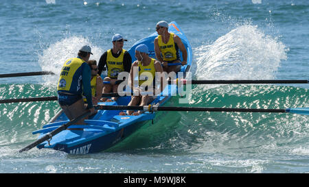 Australische Surf Ruderer Liga Wettbewerb Stockfoto