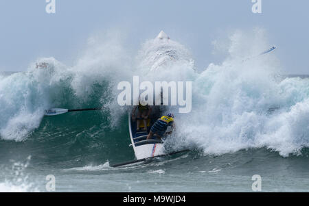 Australische Surf Ruderer Liga Wettbewerb Stockfoto