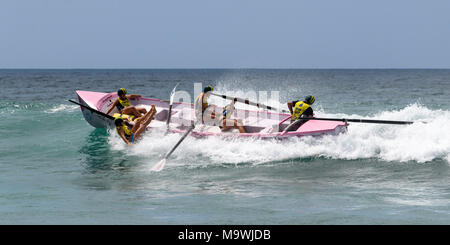 Australische Surf Ruderer Liga Wettbewerb Stockfoto