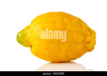 Nahaufnahme einer Zitrone auf weißem Hintergrund Stockfoto