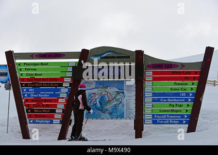 Aviemore, Schottland, Vereinigtes Königreich, 28, März, 2018. Ein Skifahrer Studien einen pistenplan an Cairngorm Mountain Ski Center wie die Osterferien beginnen, © Ken Jack/Alamy leben Nachrichten Stockfoto