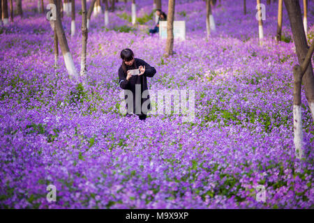 Nanjing, China. 28. März, 2018. Nanjing, China-28. März 2018: Orychophragmus violaceus Blumen blühen an einem Wetland Park in Nanjing in der ostchinesischen Provinz Jiangsu. Credit: SIPA Asien/ZUMA Draht/Alamy leben Nachrichten Stockfoto