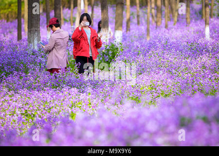 Nanjing, China. 28. März, 2018. Nanjing, China-28. März 2018: Orychophragmus violaceus Blumen blühen an einem Wetland Park in Nanjing in der ostchinesischen Provinz Jiangsu. Credit: SIPA Asien/ZUMA Draht/Alamy leben Nachrichten Stockfoto