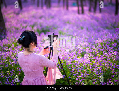 Nanjing, China. 28. März, 2018. Nanjing, China-28. März 2018: Orychophragmus violaceus Blumen blühen an einem Wetland Park in Nanjing in der ostchinesischen Provinz Jiangsu. Credit: SIPA Asien/ZUMA Draht/Alamy leben Nachrichten Stockfoto