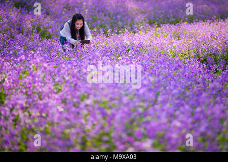 Nanjing, China. 28. März, 2018. Nanjing, China-28. März 2018: Orychophragmus violaceus Blumen blühen an einem Wetland Park in Nanjing in der ostchinesischen Provinz Jiangsu. Credit: SIPA Asien/ZUMA Draht/Alamy leben Nachrichten Stockfoto