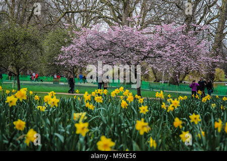 London, Großbritannien. 29. März, 2018. London UK Frühling offiziell nach London kamen @ Paul Quezada-Neiman/Alamy leben Nachrichten Stockfoto