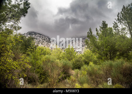 Wilde Landschaft der Rocky Mountains und Wald auf der Halbinsel Peljesac, Kroatien Stockfoto