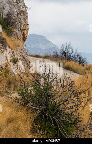 Wilde Landschaft der Rocky Mountains und Wald auf der Halbinsel Peljesac, Kroatien Stockfoto