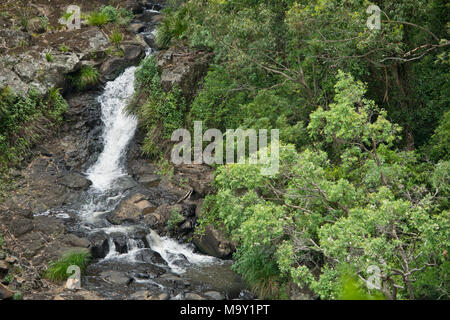 Ein Wasserfälle und Creek in Queensland in Australien Stockfoto