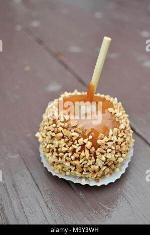 Zerkleinerte Erdnüsse in Karamell überdachten großen frischen Apfel auf braune Holzbank außerhalb des historischen 1837 Franklin Cider Mill, Bloomfield Hills, Michigan, USA. Stockfoto