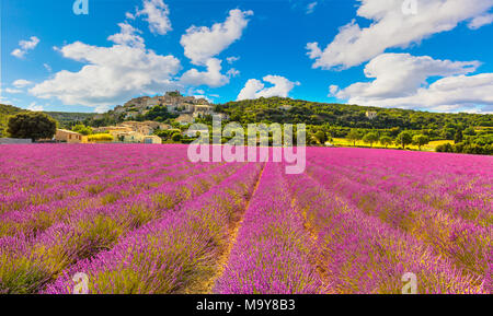 Simiane la Rotonde Dorf und Lavendel Panorama. Provence, Frankreich, Europa Stockfoto