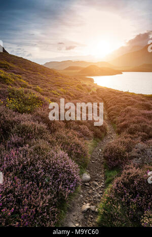 Atemberaubenden Sonnenaufgang Landschaft über Cregennen Seen mit Cadair Idris im Hintergrund, im Snowdonia Stockfoto