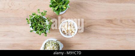 Verschiedene Arten von Micro Grüns in weißen Schüsseln für Soßen auf Holz- Hintergrund. Frisch Garten produzieren biologisch angebaut, Symbol der Gesundheit und Vitamine. Microgreens bereit für das Kochen. Copyspace für Text Stockfoto