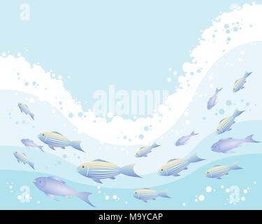 zur Veranschaulichung der abstrakten tropische Fische im Meer mit Wellen-Schaum und Bläschen auf blauem Hintergrund Stock Vektor