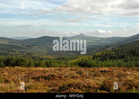 Abgelegene Landschaften im Wicklow-Nationalpark in Südirland Stockfoto